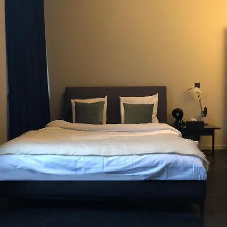 Museum Guest house *